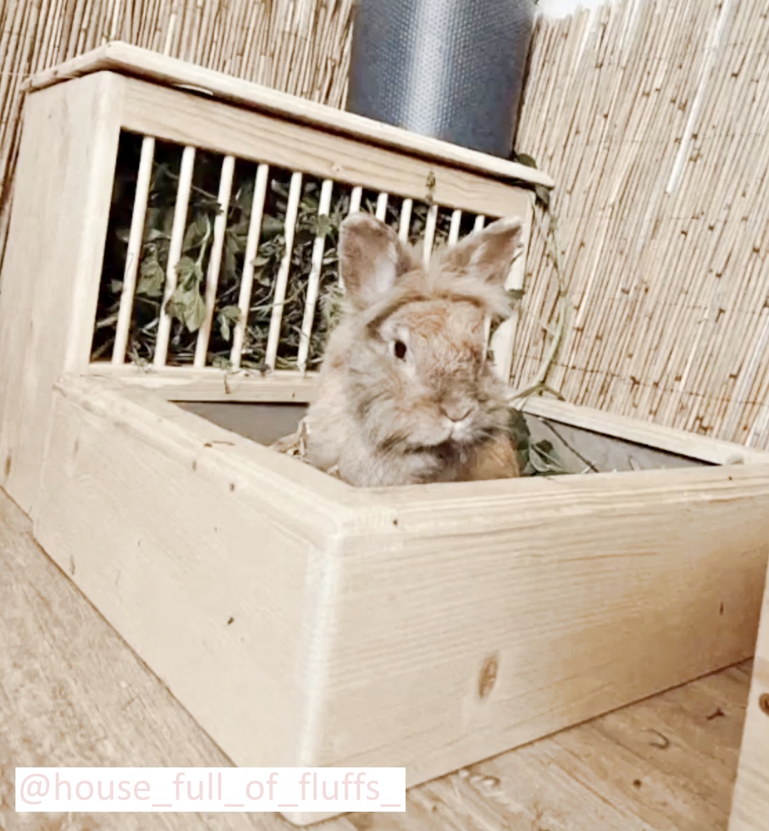 heuraufe-und-toilette-set-fuer-zwergkaninchen